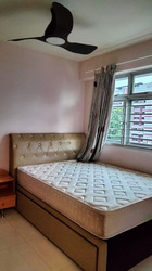 Blk 560A Spring Haven @ Jurong (Jurong West), HDB 2 Rooms #533464201